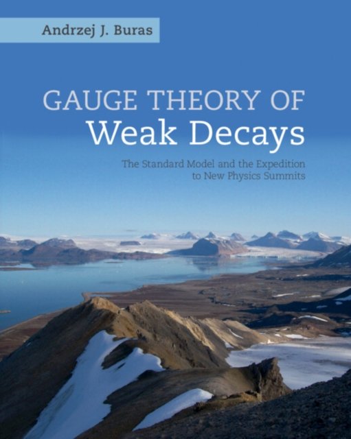 Gauge Theory of Weak Decays