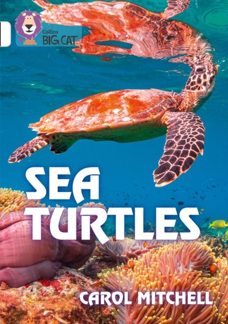 BIG CAT_SEA TURTLES