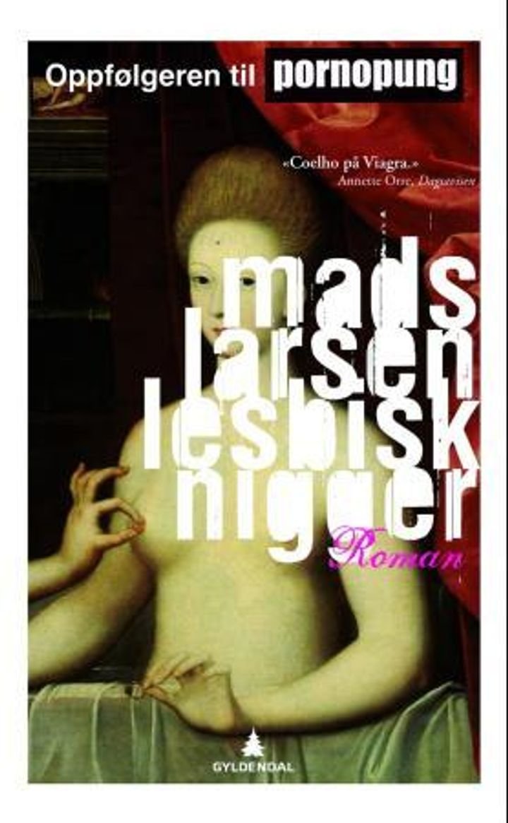 Lesbisk nigger - roman