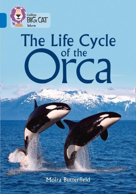 BIG CAT - LIFE CYCLE OF ORCA