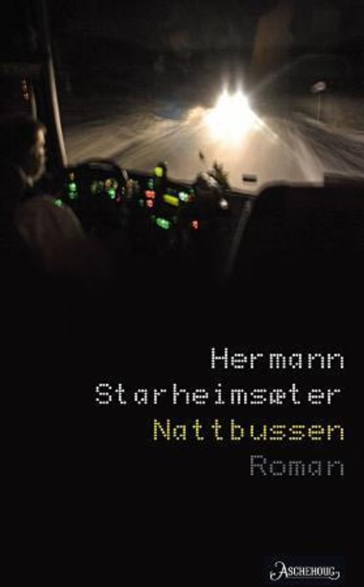 Nattbussen - roman