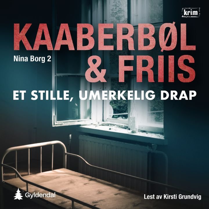 Et stille, umerkelig drap - en Nina Borg-roman