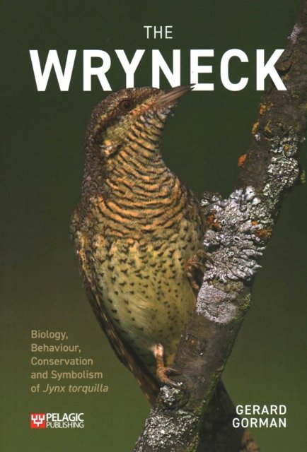 The Wryneck