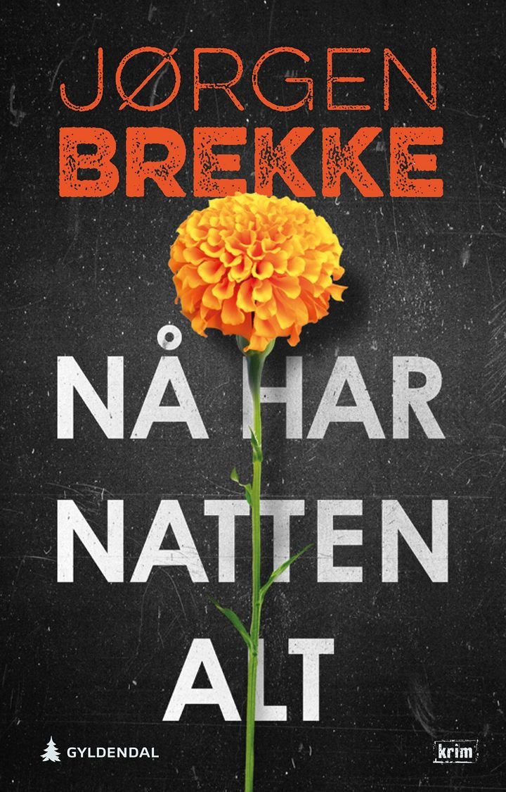 Nå har natten alt - kriminalroman