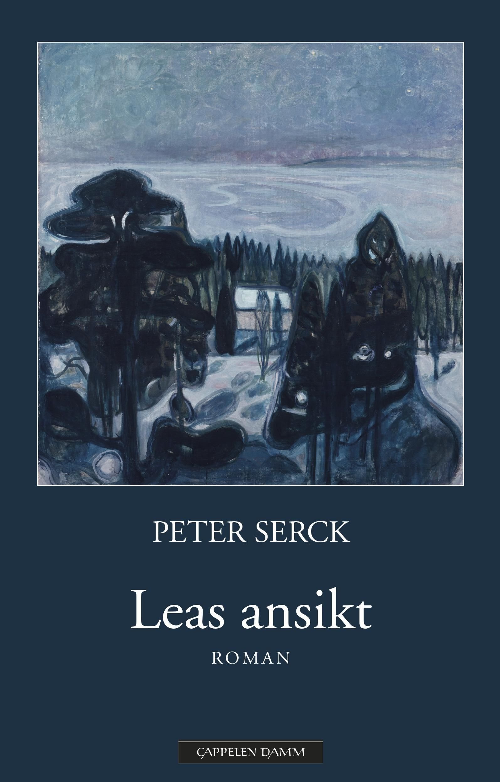 Leas ansikt - roman