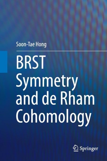 BRST Symmetry and de Rham Cohomology