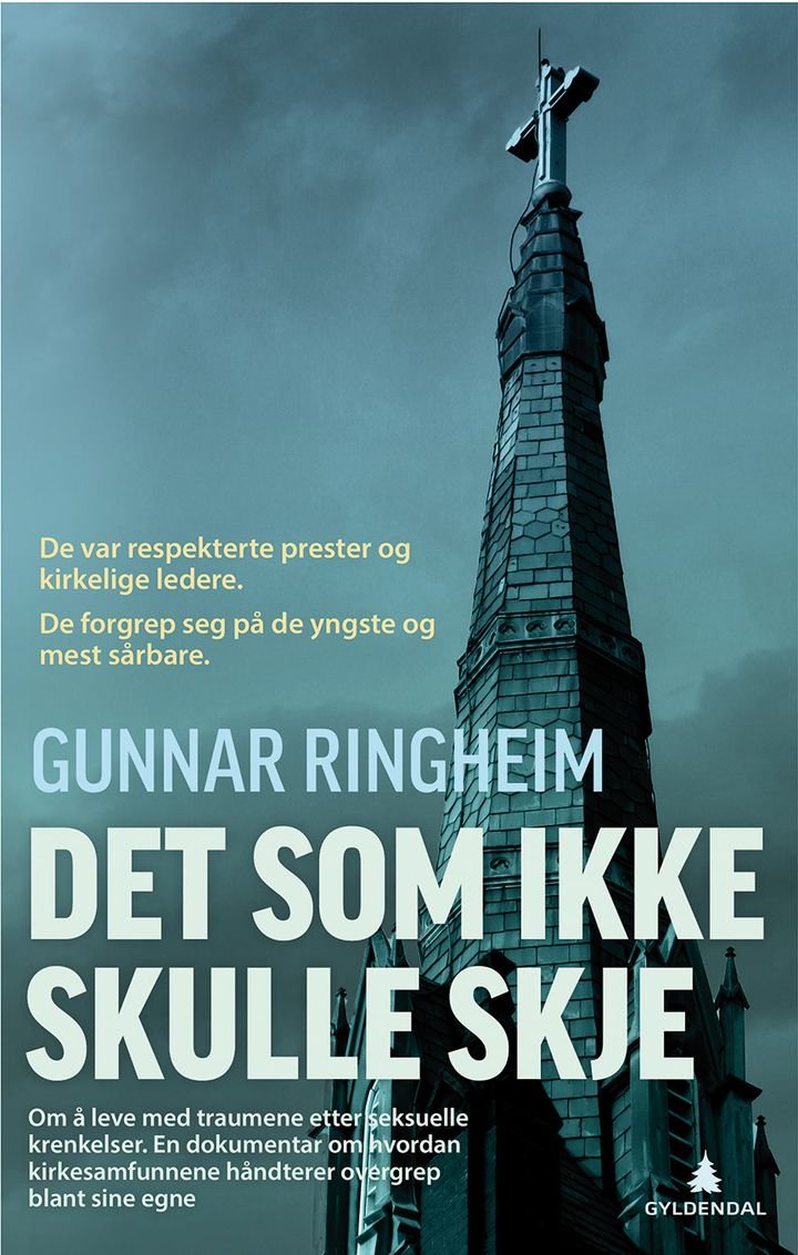 Det som ikke skulle skje - fortellinger om overgrep : en dokumentar om hvordan Kirken håndterer seksuelle overgrep blant sine egne
