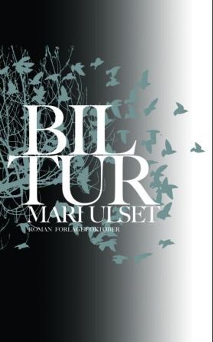 Biltur