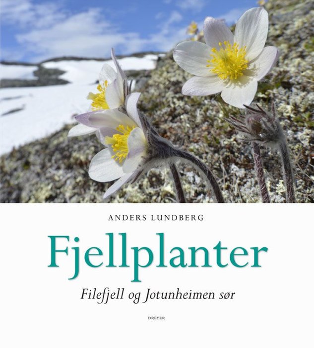 Fjellplanter