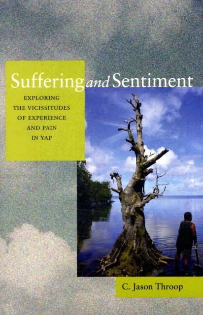 Suffering and Sentiment