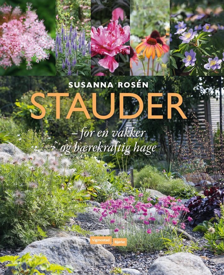Stauder