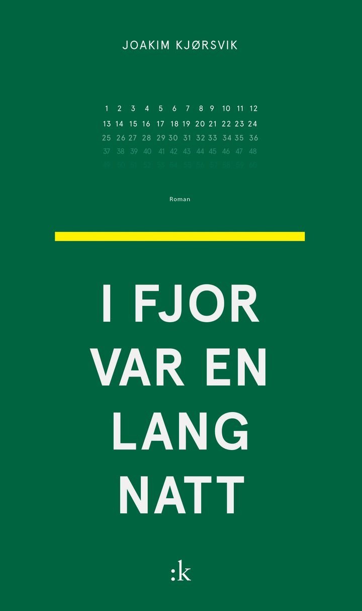 I fjor var en lang natt - roman