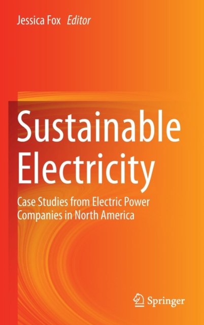 Sustainable Electricity