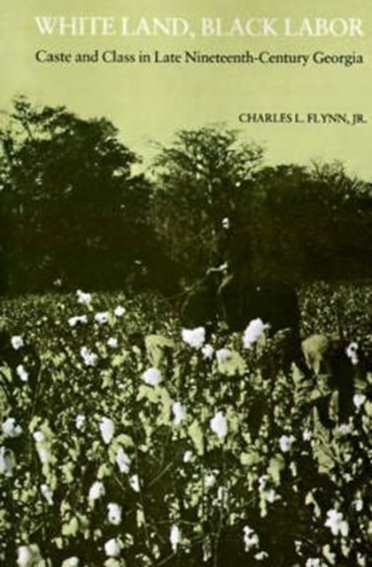 White Land, Black Labor