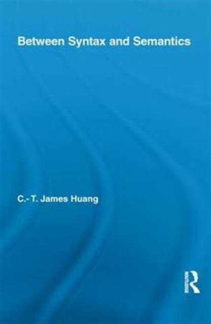 Between Syntax and Semantics