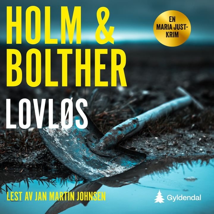 Lovløs - kriminalroman