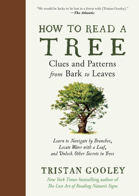 How to Read a Tree – Clues and Patterns from Bark to Leaves