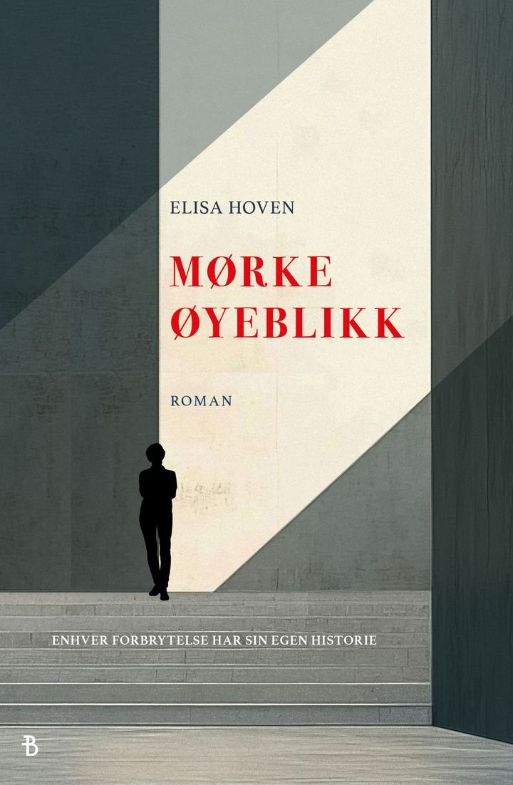 Mørke øyeblikk - roman