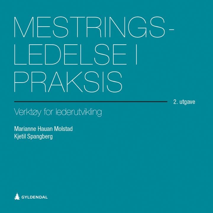 Mestringsledelse i praksis - verktøy for lederutvikling