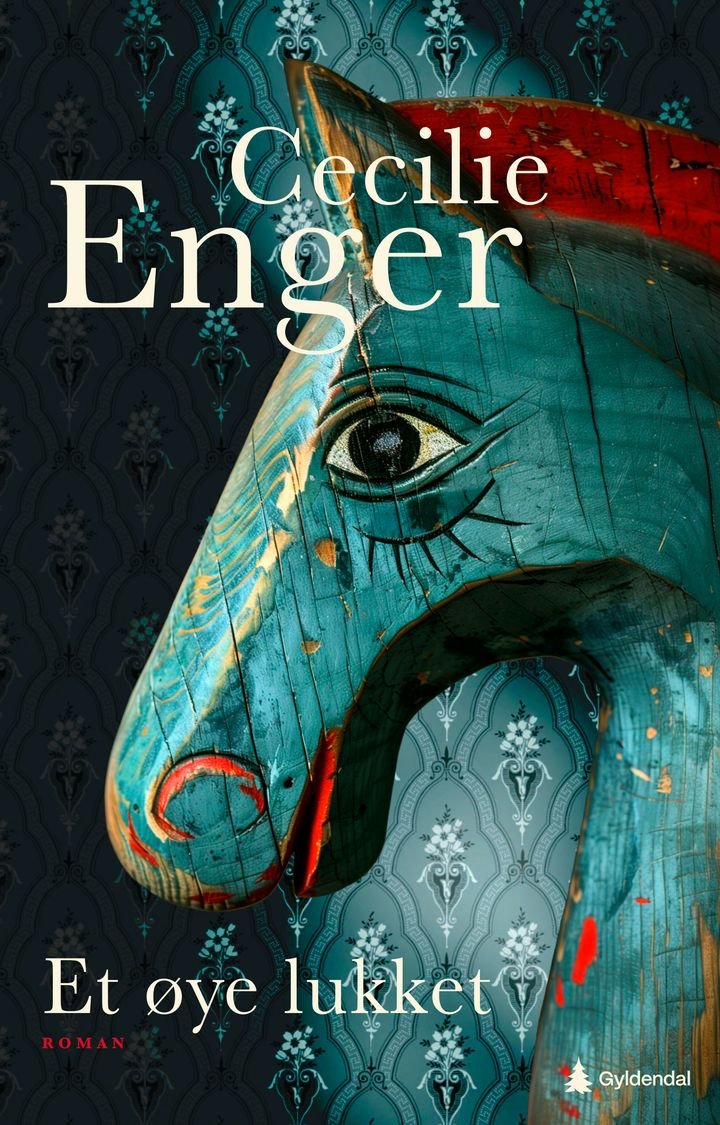 Et øye lukket - roman