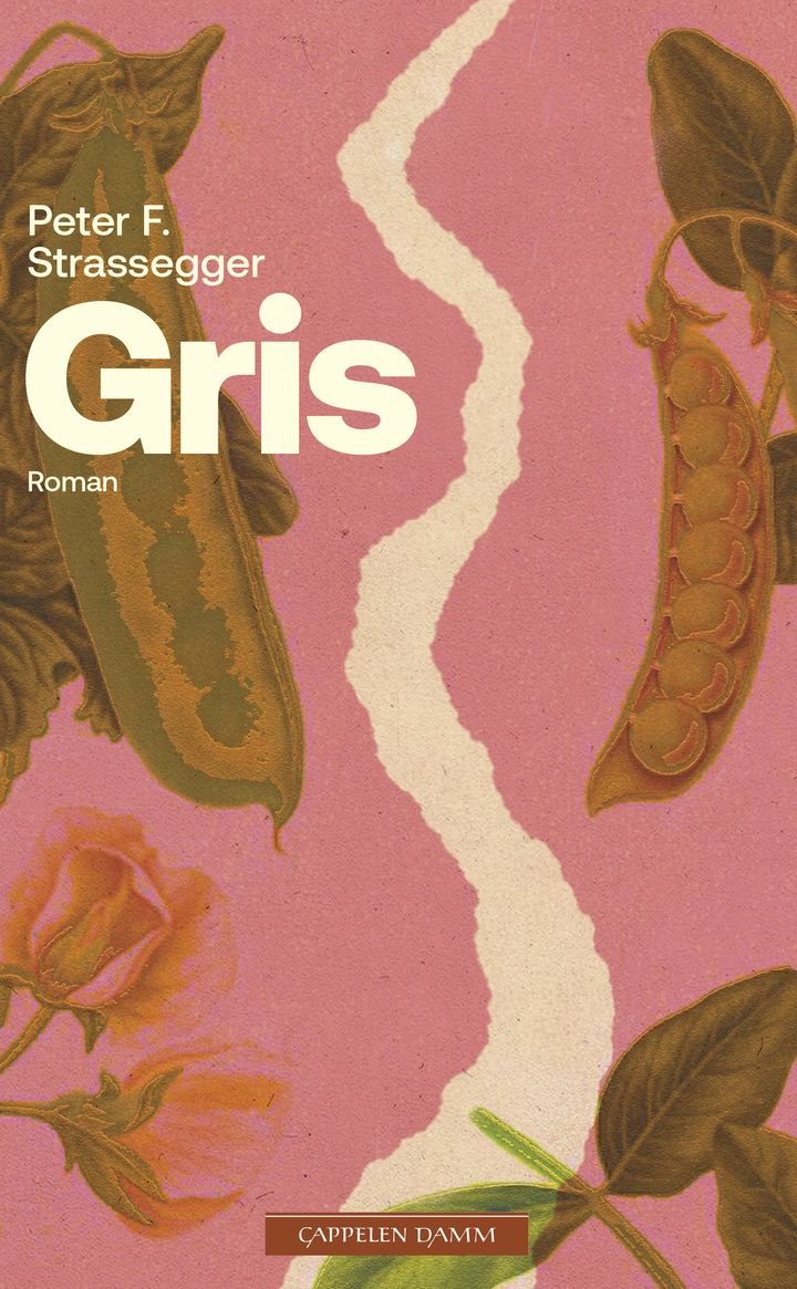 Gris - roman