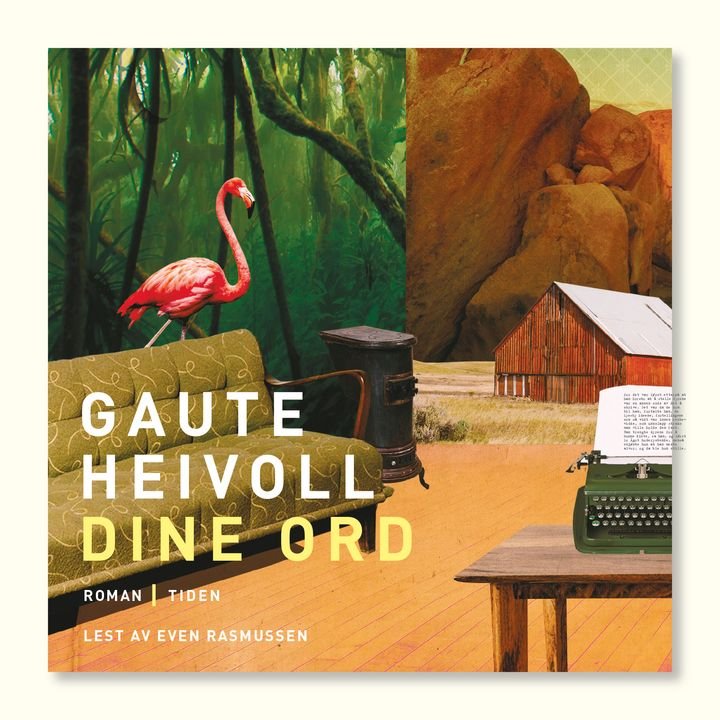 Dine ord - roman