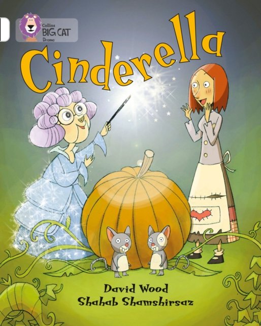 BIG CAT - CINDERELLA