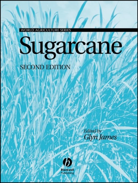 Sugarcane