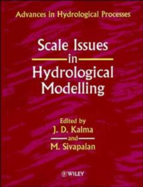 Scale Issues in Hydrological Modelling