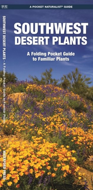 Southwest Desert Plants