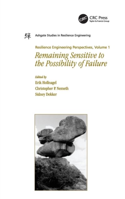 Resilience Engineering Perspectives