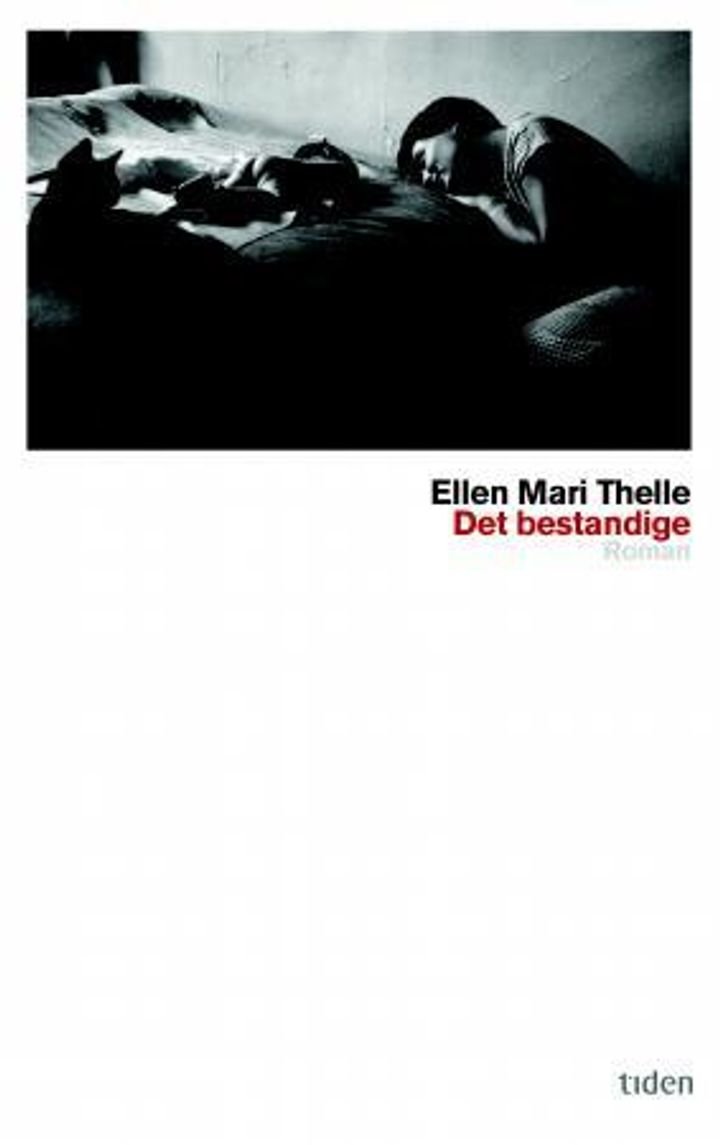 Det bestandige - roman