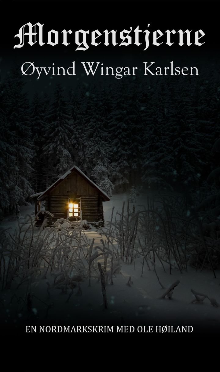 Morgenstjerne - roman