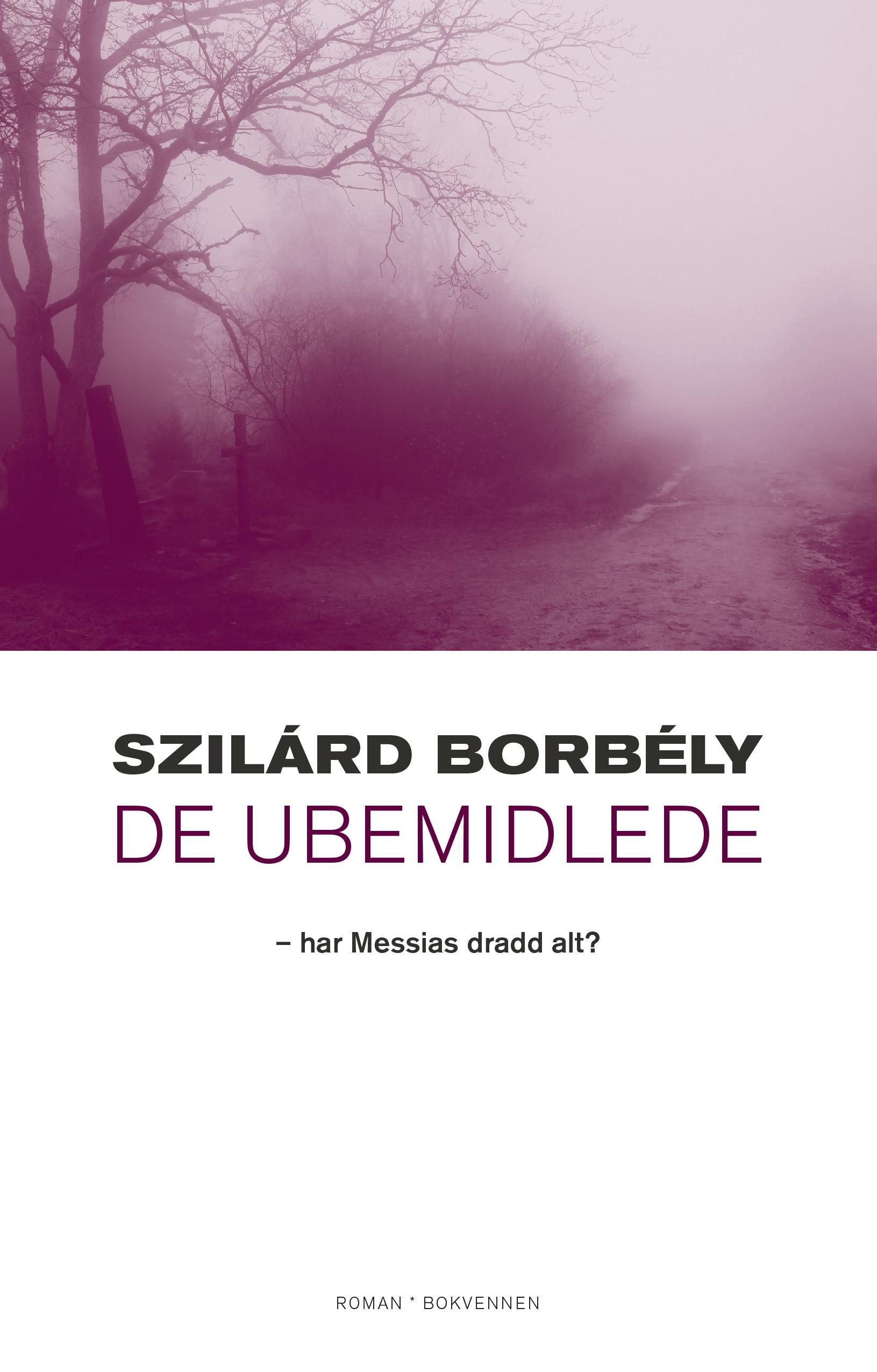 De ubemidlede - har Messias dradd alt? : roman