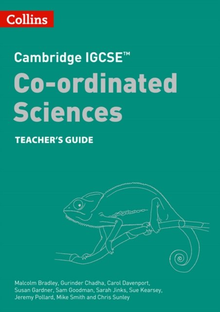 CAM IGCSE CO-ORD TEACH 2E