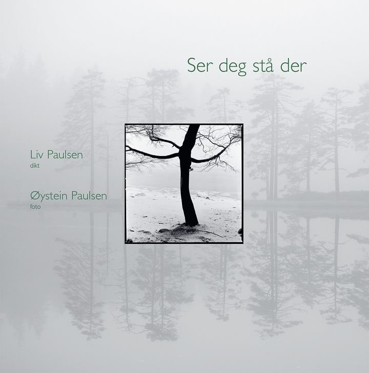 Ser deg stå der