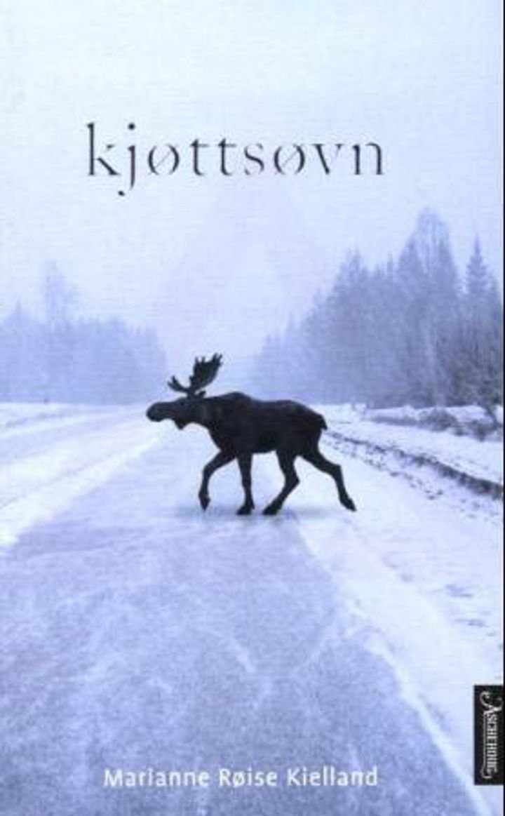 Kjøttsøvn - roman