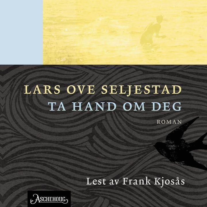 Ta hand om deg - roman