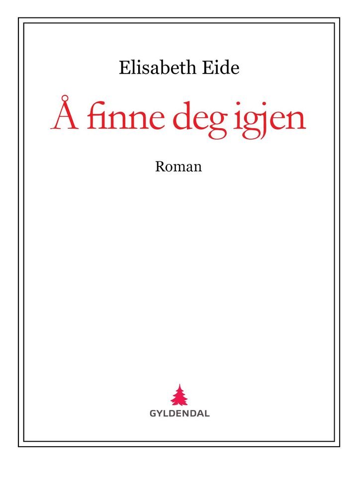 Å finne deg igjen - roman