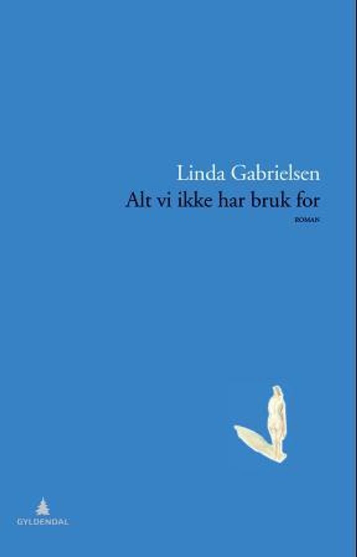 Alt vi ikke har bruk for - roman