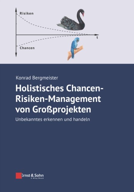 Holistisches Chancen–Risiken–Management von Großprojekten – Unbekanntes erkennen und handeln