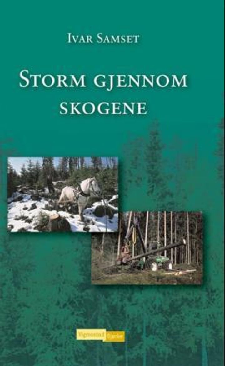 Storm gjennom skogene