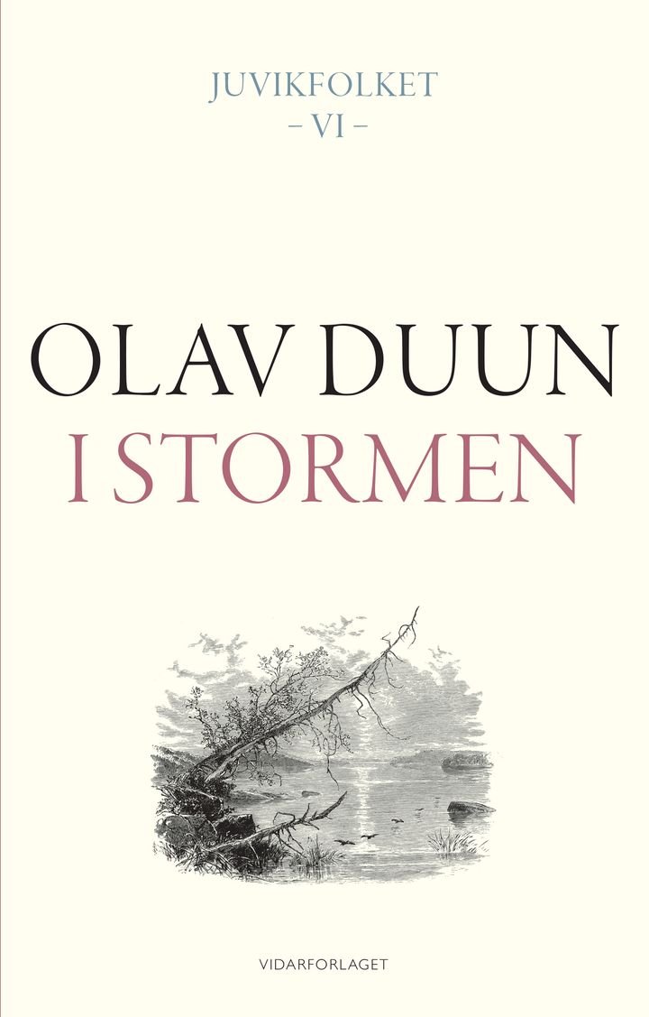 I stormen - roman
