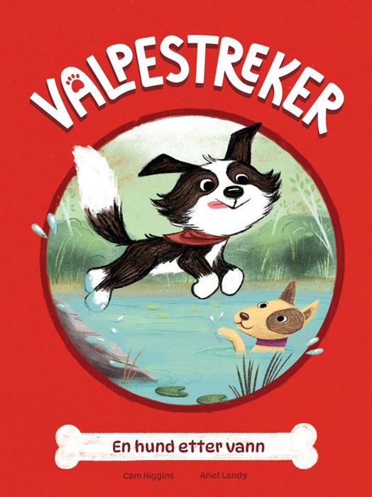 En hund etter vann