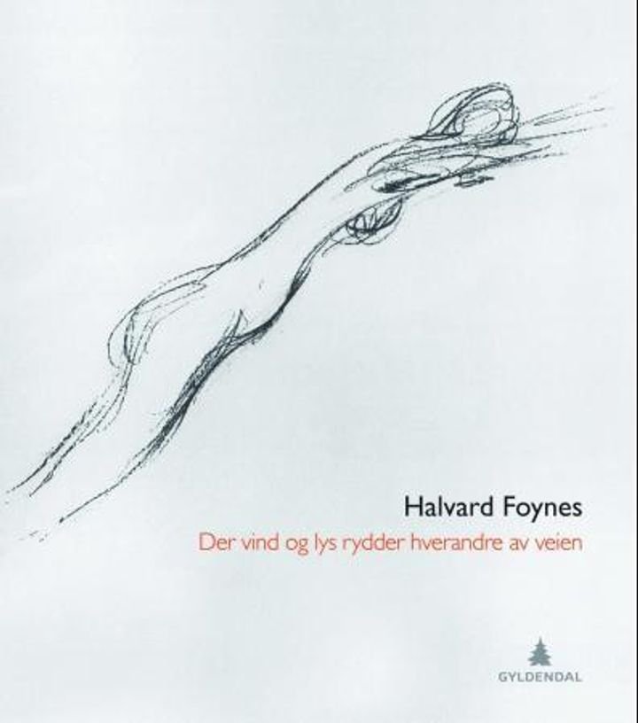 Der vind og lys rydder hverandre av veien - dikt