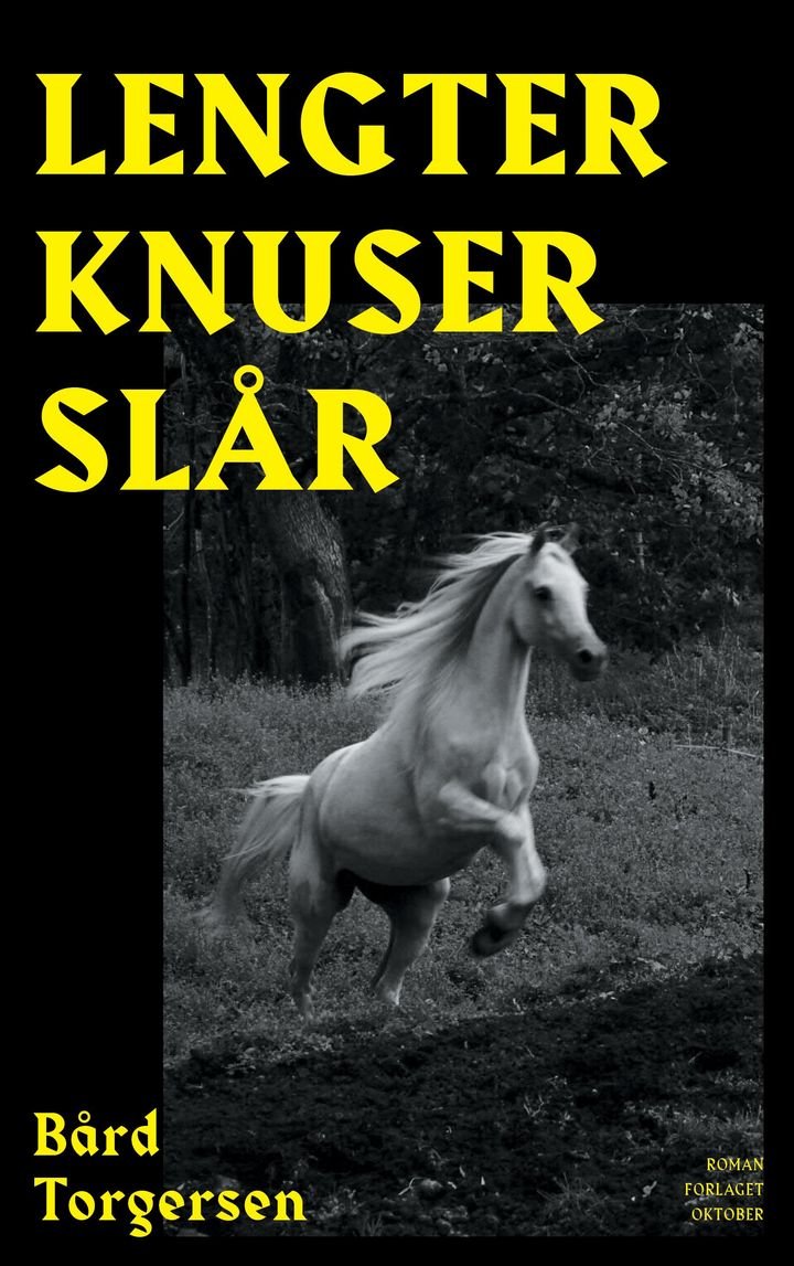 Lengter knuser slår - roman