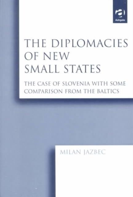 The Diplomacies of New Small States