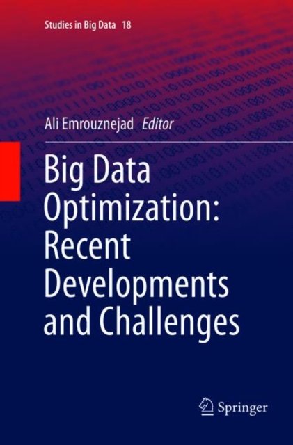 Big Data Optimization