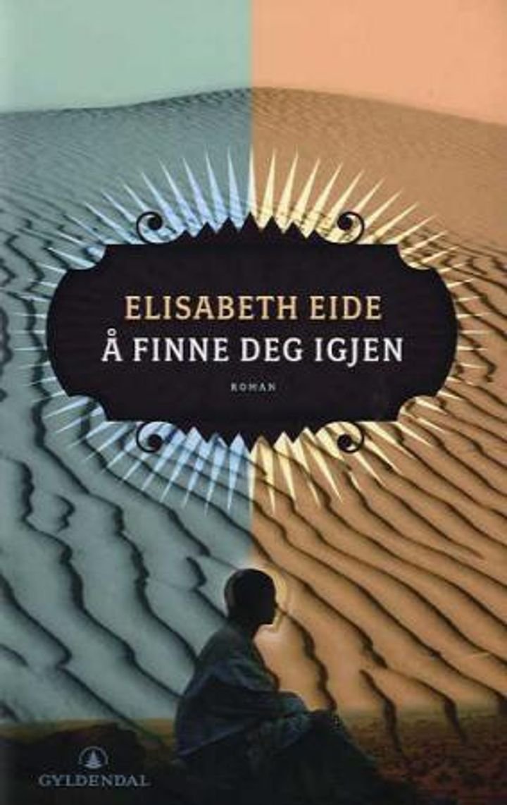 Å finne deg igjen - roman
