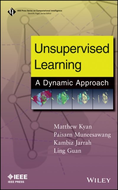 Unsupervised Learning – A Dynamic Approach